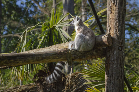 28-04-24_zoo-de-beauval, _MG_0986