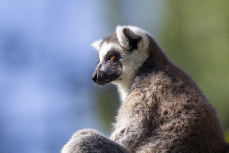 28-04-24_zoo-de-beauval, _MG_0987