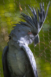 28-04-24_zoo-de-beauval, _MG_0995
