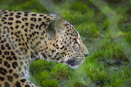 28-04-24_zoo-de-beauval, _MG_1000