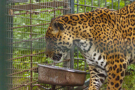 28-04-24_zoo-de-beauval, _MG_1001
