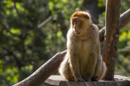 28-04-24_zoo-de-beauval, _MG_1003