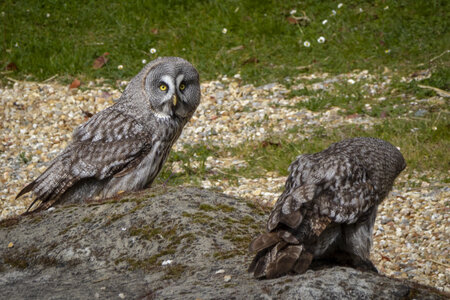 28-04-24_zoo-de-beauval, _MG_1048