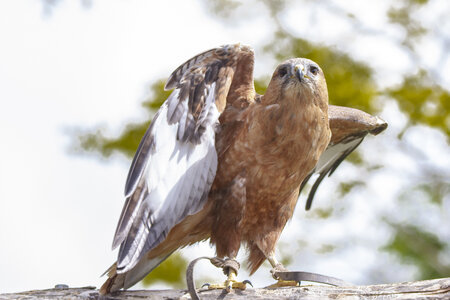 28-04-24_zoo-de-beauval, _MG_1056