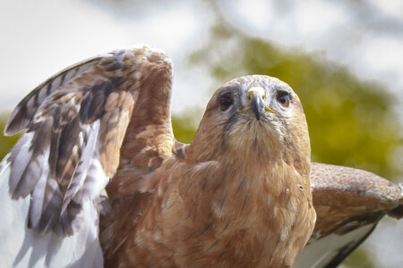 28-04-24_zoo-de-beauval, _MG_1056-2