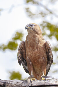 28-04-24_zoo-de-beauval, _MG_1057