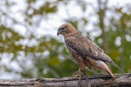 28-04-24_zoo-de-beauval, _MG_1058