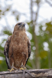 28-04-24_zoo-de-beauval, _MG_1060