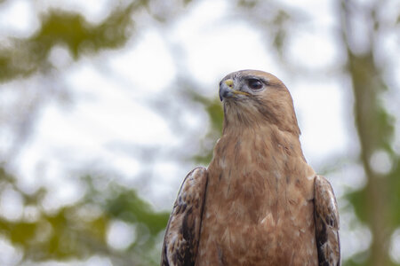 28-04-24_zoo-de-beauval, _MG_1061