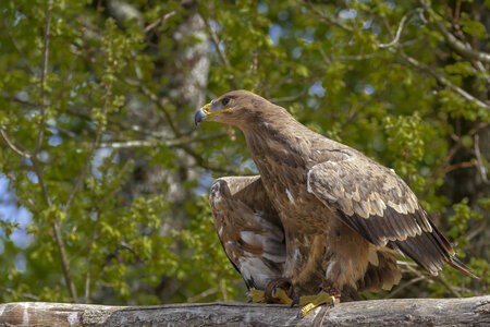 28-04-24_zoo-de-beauval, _MG_1080