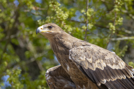 28-04-24_zoo-de-beauval, _MG_1087