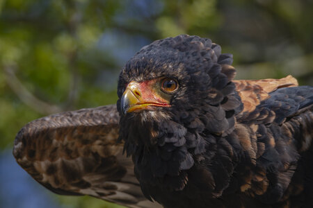 28-04-24_zoo-de-beauval, _MG_1090