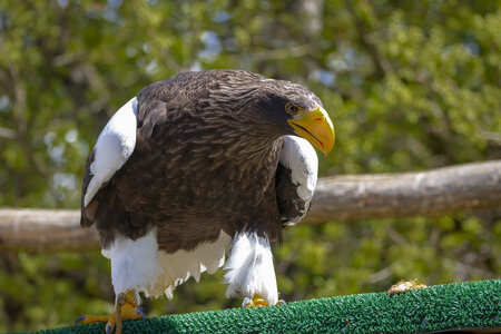 28-04-24_zoo-de-beauval, _MG_1092