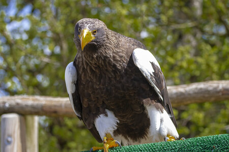 28-04-24_zoo-de-beauval, _MG_1093