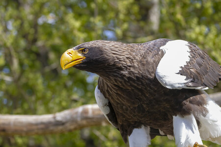 28-04-24_zoo-de-beauval, _MG_1098