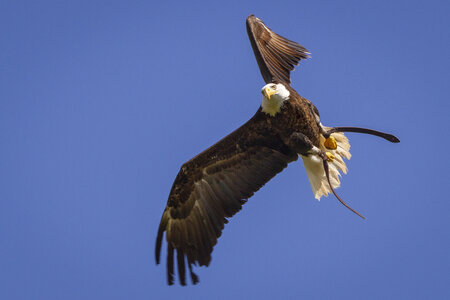 28-04-24_zoo-de-beauval, _MG_1102