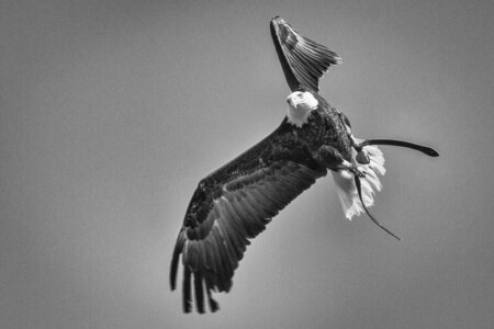 28-04-24_zoo-de-beauval, _MG_1102-Modifier