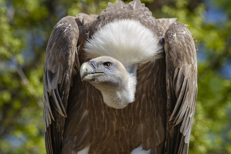 28-04-24_zoo-de-beauval, _MG_1122