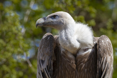 28-04-24_zoo-de-beauval, _MG_1123