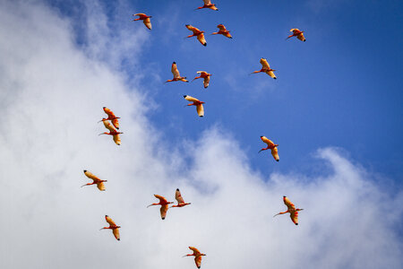 28-04-24_zoo-de-beauval, _MG_1147