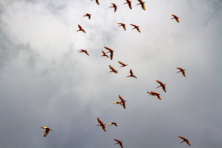 28-04-24_zoo-de-beauval, _MG_1148