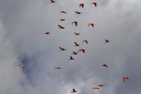 28-04-24_zoo-de-beauval, _MG_1149