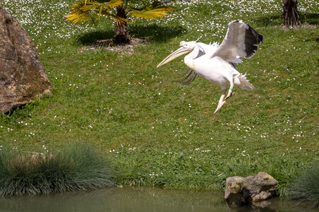28-04-24_zoo-de-beauval, _MG_1158