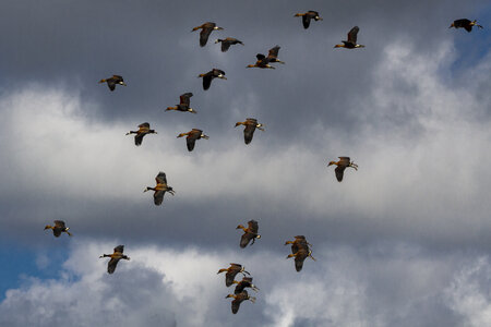 28-04-24_zoo-de-beauval, _MG_1159-2