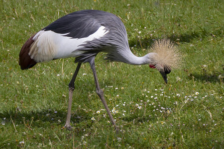 28-04-24_zoo-de-beauval, _MG_1166-Modifier