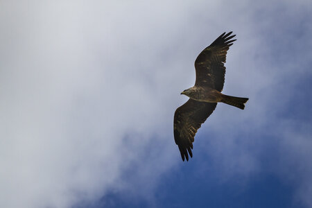 28-04-24_zoo-de-beauval, _MG_1172