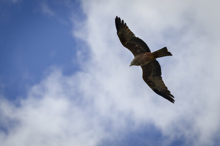 28-04-24_zoo-de-beauval, _MG_1173