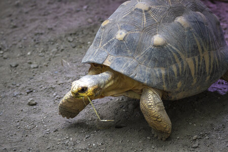 28-04-24_zoo-de-beauval, _MG_1215