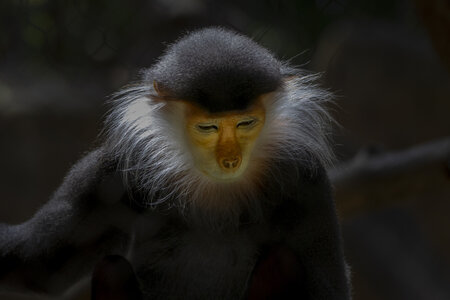 28-04-24_zoo-de-beauval, _MG_1234