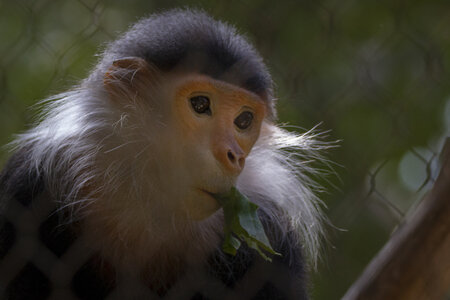 28-04-24_zoo-de-beauval, _MG_1235