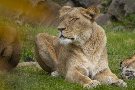 28-04-24_zoo-de-beauval, _MG_1259