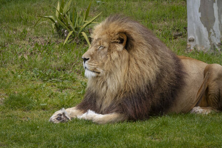 28-04-24_zoo-de-beauval, _MG_1262