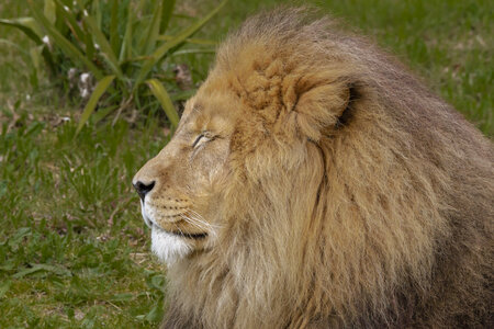 28-04-24_zoo-de-beauval, _MG_1264