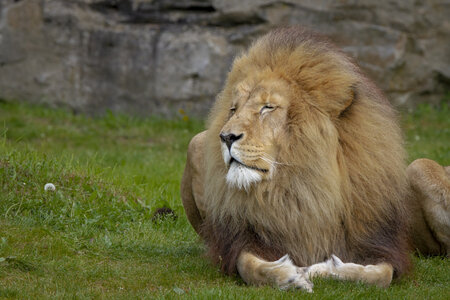 28-04-24_zoo-de-beauval, _MG_1268