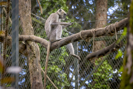 28-04-24_zoo-de-beauval, _MG_1313
