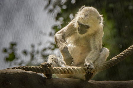 28-04-24_zoo-de-beauval, _MG_1324