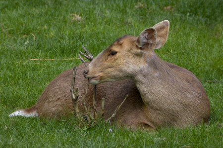 28-04-24_zoo-de-beauval, _MG_1327-Modifier