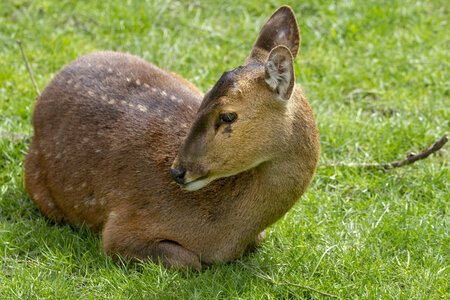 28-04-24_zoo-de-beauval, _MG_1340