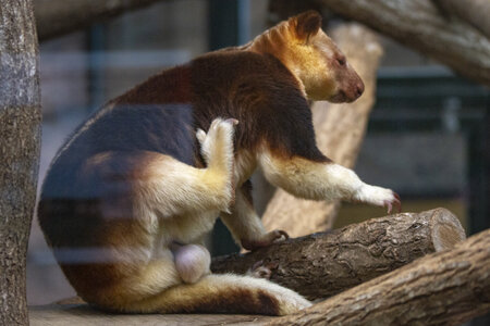 28-04-24_zoo-de-beauval, _MG_1344