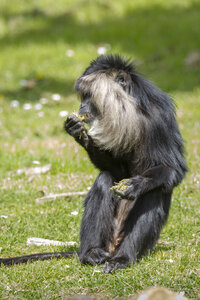 28-04-24_zoo-de-beauval, _MG_1366