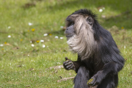 28-04-24_zoo-de-beauval, _MG_1368