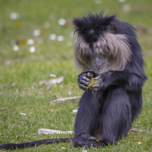 28-04-24_zoo-de-beauval, _MG_1369