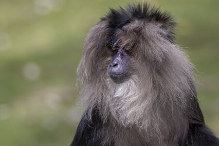 28-04-24_zoo-de-beauval, _MG_1373