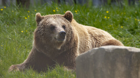 28-04-24_zoo-de-beauval, _MG_1382