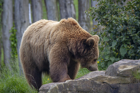 28-04-24_zoo-de-beauval, _MG_1384