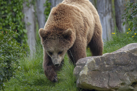28-04-24_zoo-de-beauval, _MG_1386